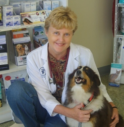 Animal Medical of Chesapeake Dr Lori Jones at Animal Medical