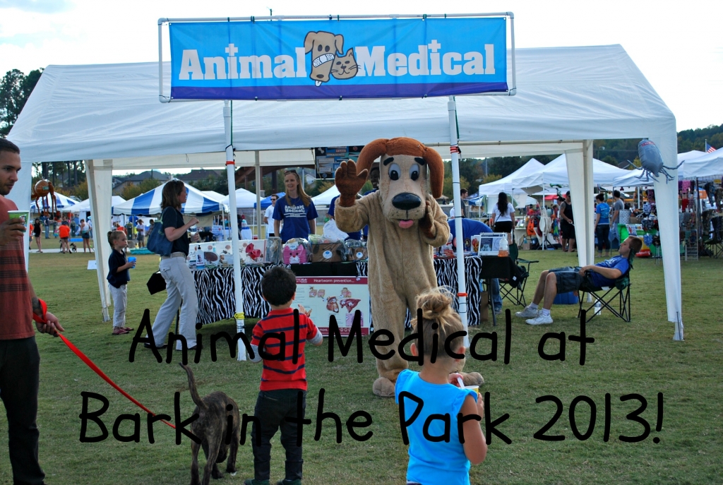 Animal Medical at Bark in the Park 2013