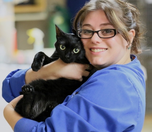 Animal Medical of Chesapeake - Melissa is a Client Care Coordinator at 921 Battlefield Blvd, Chesapeake, Va 23320