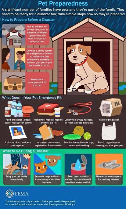 Pet Disaster Prep Kit guidelines from Animal Medical Clinic of Chesapeake, 921 Battlefield Blvd, Chesapeake, Va 23320